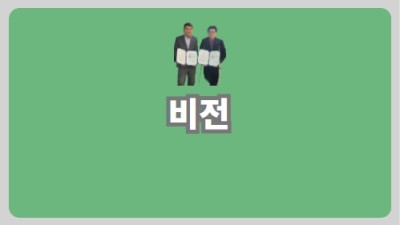 비전